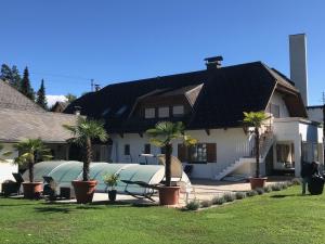 a house with palm trees in front of it at IV Gemütliche Ferienwohnung in Pool-Position in Sankt Michael ob Bleiburg