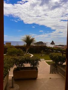 a view of a garden with a palm tree and the ocean at Hotel Lachea in Acitrezza