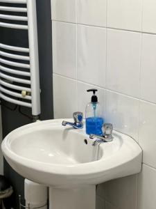 a bathroom sink with a bottle of soap on it at Charming, Cozy Apartment, 2 mins from the Beach in Llanfairfechan