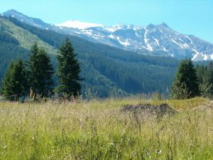 Paesaggio naturale nelle vicinanze dell'affittacamere