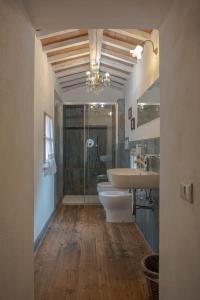 ein Bad mit einem Waschbecken, einem WC und einer Dusche in der Unterkunft La Rocca in Gambassi Terme