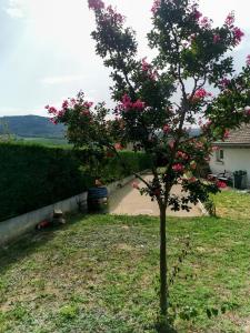 a tree in a yard with pink flowers on it at Le Refuge de Manou in Saint-Péray