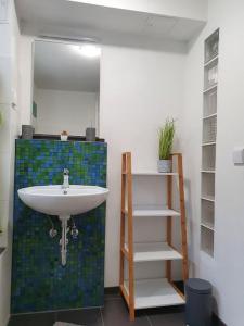 a bathroom with a sink and a mirror at Fuchsbau Haasow 