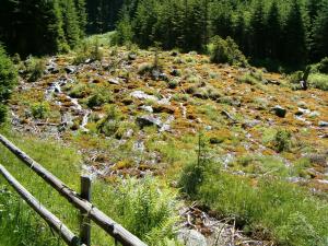 Paesaggio naturale nelle vicinanze dell'affittacamere