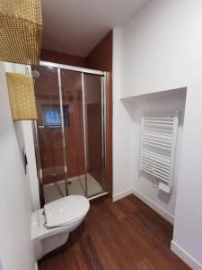 ein Bad mit einem WC und einer Glasdusche in der Unterkunft Ores du Roussillon grand studio climatisé extérieur in Villeneuve-lès-Avignon