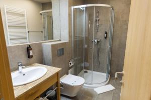 y baño con ducha, aseo y lavamanos. en Casa Calfelor Kolping Timișoara en Timisoara