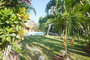 a yard with palm trees and a swimming pool at Havre de paix, 2 pas de la plage in Las Terrenas