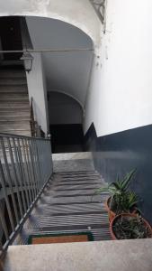 a set of stairs in a building with a plant at Dimora Filangieri in Naples