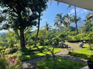 Rinjani Eco Villa Senaru外面的花园