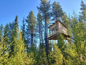 a tree house in the middle of the forest at Aurora Lodge in Jerfojaur