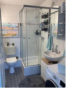 a bathroom with a shower and a toilet and a sink at Design Apartment im Zentrum in Kahl am Main