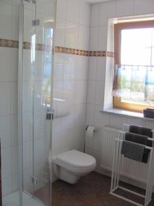 uma casa de banho com um WC e uma cabina de duche em vidro. em #4 Dachstudiozimmer mit 2 Betten und Balkon mit WG Bad Airport nah freies W-Lan em Trunkelsberg
