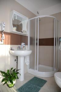 Polesine Camerini的住宿－Agriturismo La Violetta，带淋浴、盥洗盆和卫生间的浴室
