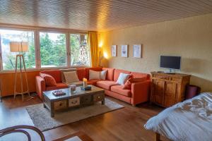 a living room with a couch and a tv at Cosy studio on the ski slopes in Gryon