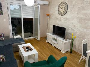 een woonkamer met een bank en een tv bij Impressive Apartment in Nikšić