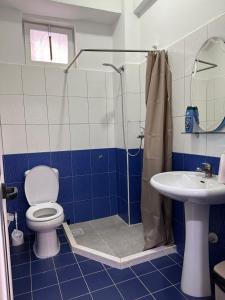a bathroom with a shower and a toilet and a sink at Hannas Hostel in Berat