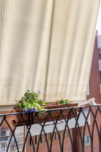 deux plantes sur une table devant un rideau dans l'établissement ApuliaLux Prana Home - Bari City Center, à Bari