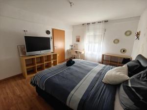 a bedroom with a large bed and a flat screen tv at Chambre climatisée cosy Auberge du Manala Hôtel 24-24 in Saint-Louis