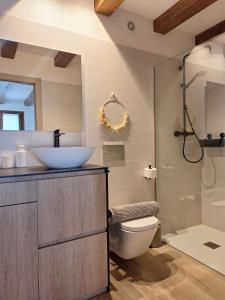 La salle de bains est pourvue d'un lavabo, de toilettes et d'une douche. dans l'établissement Altxabi Apartamento Rural, à Ochagavía