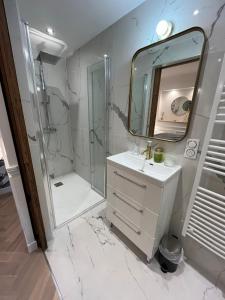 a bathroom with a shower and a sink and a mirror at Aux Quatre Petits clos in Jouars-Pontchartrain