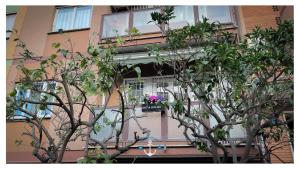 un edificio con una ventana con una caja de flores. en La Dolce Sosta Executive, en Lido di Ostia