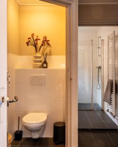 ein Bad mit einem WC und einer gelben Wand in der Unterkunft Stadsappartement Franeker 9 in Franeker