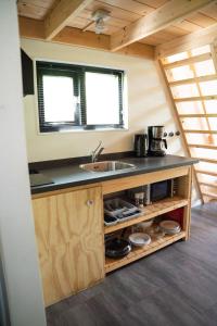 貝克貝亨的住宿－Tiny house op de Veluwe，厨房配有水槽和台面