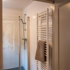 a bathroom with a shower and a glass door at Stadsappartement Franeker 9 in Franeker