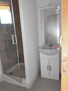 een badkamer met een douche en een wastafel bij Appart 2 chambres proche rivière & centre in Saint-Ambroix