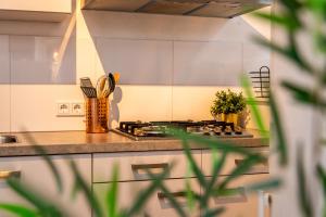 kuchnia z kuchenką i blatem w obiekcie Stadsappartement Franeker 11 w mieście Franeker