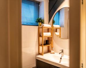 弗拉讷克Stadsappartement Franeker 11的浴室里有洗手池和镜子
