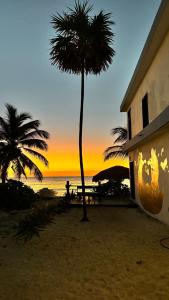 a palm tree on the beach with the sunset at Pronoia Casa de Playa in Mahahual