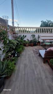 un patio con un montón de plantas y una valla en Beach Life Carabassi Beach Gran Alacant, en Gran Alacant