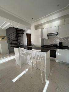 luxueux duplex avec Rooftop a la Marsa廚房或簡易廚房