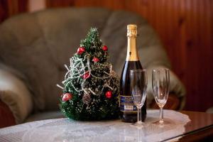 a bottle of champagne and a christmas tree on a table at Holiday home in Lokve, Croatia 47707 in Lokve