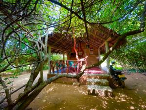Zahrada ubytování Yala Eco Bush Camp