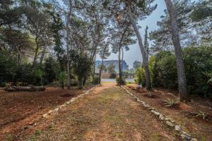 un chemin à travers un parc arboré dans l'établissement Villa K&K, à Rovinj