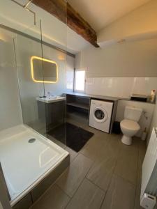 a bathroom with a toilet sink and a washing machine at Le Jaffa vue sur la Cité in Carcassonne