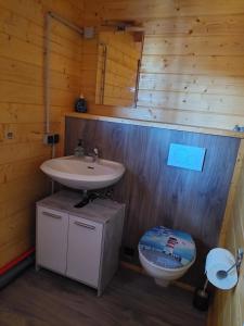 a bathroom with a sink and a toilet at 38 m Sommer-Blockhäuschen im Spreewald in Heideblick
