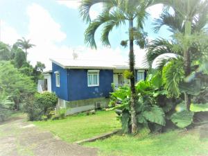 a blue house with palm trees in front of it at Appartement de 2 chambres avec terrasse et wifi a Gros Morne in Gros-Morne