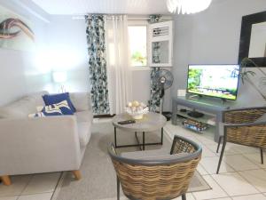 een woonkamer met een bank en een tv bij Appartement de 2 chambres avec terrasse et wifi a Gros Morne in Gros-Morne