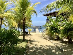 una playa con palmeras, un edificio y el océano en Patti's Paradise en Sandy Bay