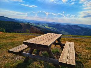 una mesa de picnic de madera en la cima de una colina en Ferienwohnungen Dorfliebe Dörnberg, en Bestwig