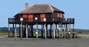 a pier with birds in front of a building at Mobilhome neuf La Dolce Vita in Claouey