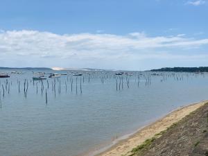 Φυσικό τοπίο κοντά σε αυτό το κάμπινγκ