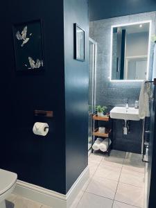 a bathroom with a sink and a toilet and a mirror at 8, St Marys , Private Double Ensuite Room - Room Only- Truro in Truro