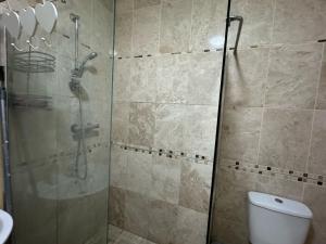 La salle de bains est pourvue d'une douche en verre et de toilettes. dans l'établissement Prince Apartment Inn, à Norwich