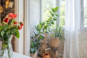 um grupo de plantas em vasos num peitoril de janela em Classy apartment em Sófia