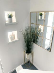 a bathroom with a mirror and potted plants on the wall at Phoenix House - 2 Double Bedroom House - Business and Corporate Travellers in Luton