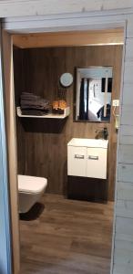 a bathroom with a sink and a toilet and a mirror at Weißenthalsmühle Birkenhäuschen in Ermetheis